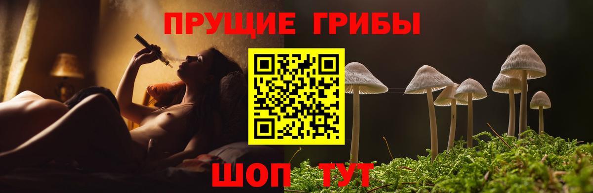 Солнечногорск  Псилоцибиновые грибы ЛСД  где можно купить   Вход с VPN  Галлюциногенные грибы Magic Shrooms 